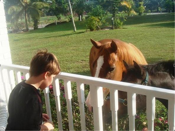 Riders Resort Kulai Kültér fotó