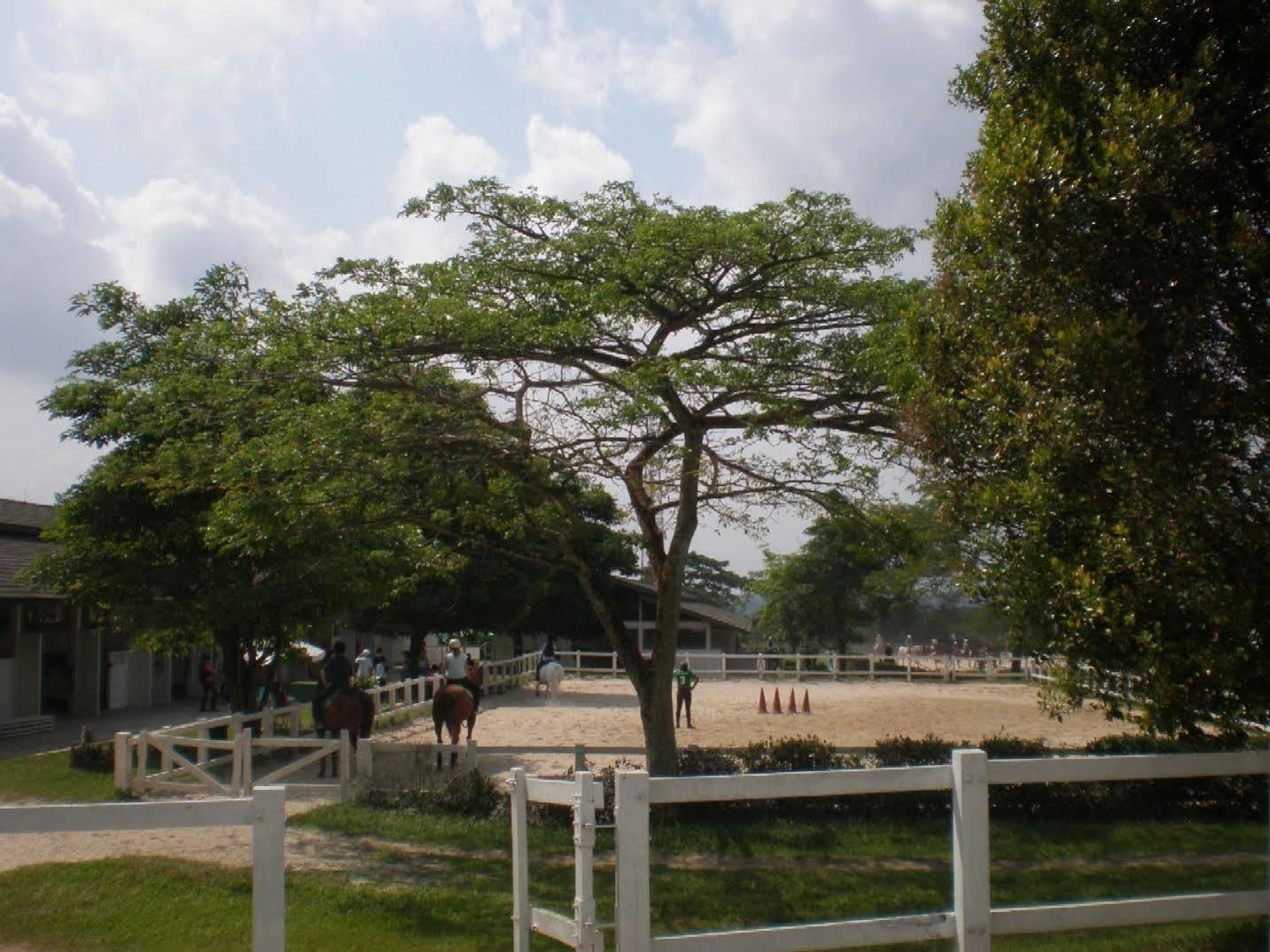 Riders Resort Kulai Kültér fotó